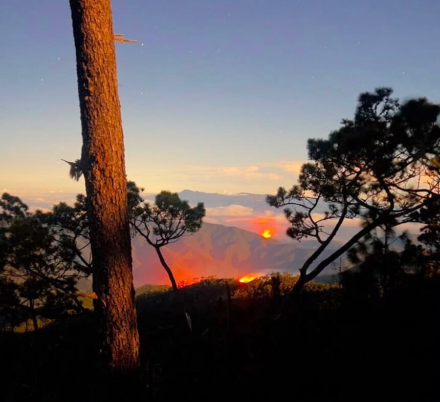 Helicopter mobilizes brigade members to fight forest fire in Armando Bermúdez National Park | De Último Minuto English