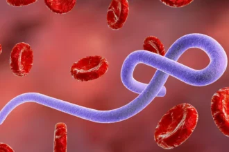 The WHO warns that Ebola is spreading in the DRC and its "true magnitude" is unknown | De Último Minuto English