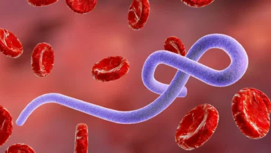The WHO warns that Ebola is spreading in the DRC and its "true magnitude" is unknown | De Último Minuto English
