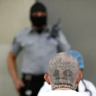 Deaths in El Salvador's prisons under the state of exception rise to 547, according to NGO | De Último Minuto English