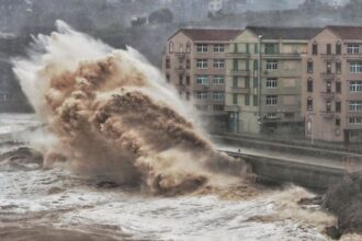 Typhoon Bavi strengthens again and moves towards China, brushing past Taiwan | De Último Minuto English