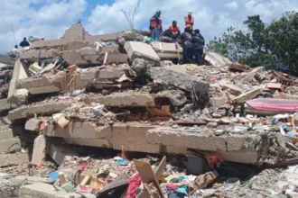 Venezuelans lead the search for missing persons in the earthquake rubble | De Último Minuto English