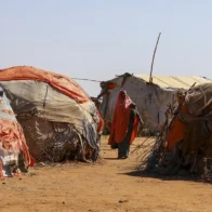 UN: Hunger affects 645 million people worldwide, although it decreased in 2025 | De Último Minuto English