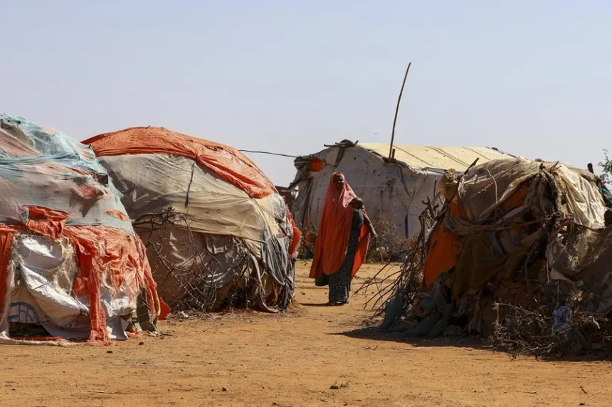 UN: Hunger affects 645 million people worldwide, although it decreased in 2025 | De Último Minuto English