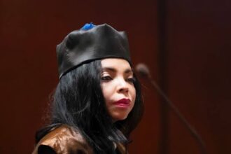 Will posting a meme be a crime? The Attorney General's Office clarifies the scope of the new Penal Code | De Último Minuto English