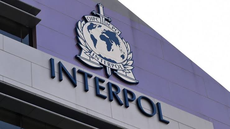 International operation leaves more than 5,800 arrested for fraud and money laundering | De Último Minuto English