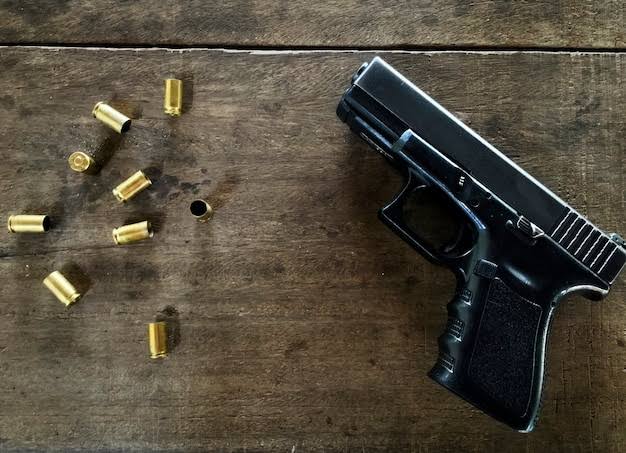 Legal gun registration grows and experts call for strengthening preventive security in companies | De Último Minuto English