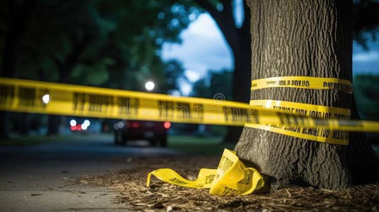 Two dead and four injured after shooting during salsa festival in Toronto | De Último Minuto English