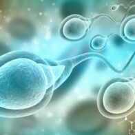Male infertility remains a silent challenge for reproductive health | De Último Minuto English