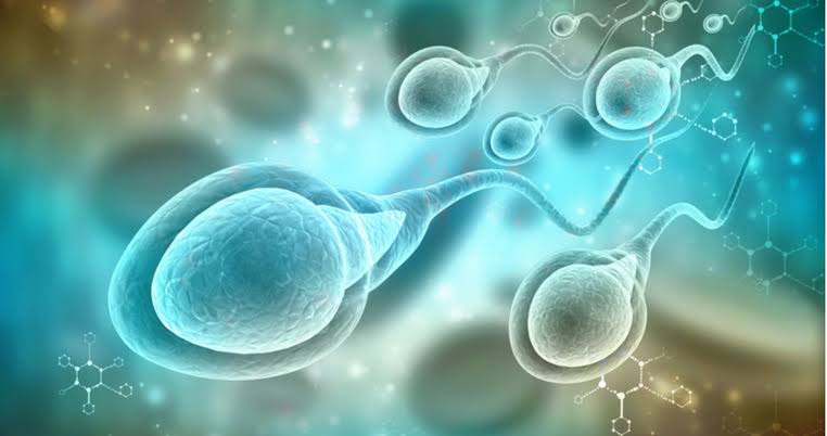 Male infertility remains a silent challenge for reproductive health | De Último Minuto English