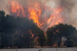 Wildfires force the evacuation of 73,000 people in Madrid and Ávila | De Último Minuto English