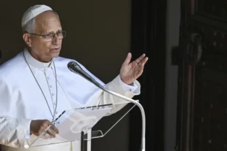 The Pope asks for prayers for rescuers and people affected by the fires in Spain and France | De Último Minuto English