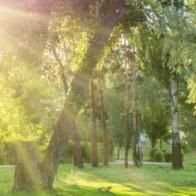 Intense heat will predominate this Saturday; isolated showers are expected during the afternoon | De Último Minuto English
