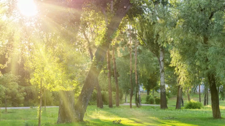 Intense heat will predominate this Saturday; isolated showers are expected during the afternoon | De Último Minuto English