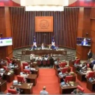 Senate proposes modifying 18 articles of the Penal Code before it enters into force | De Último Minuto English