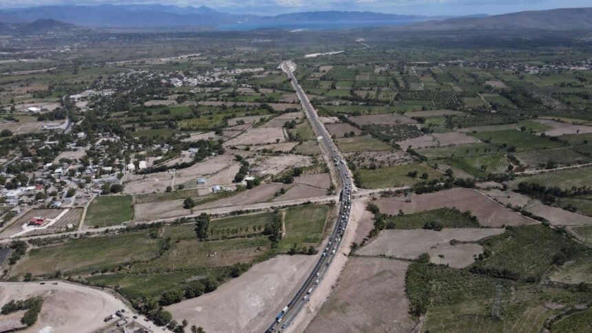 Government announces plan to plant 10 million plants on the country's highways and avenues | De Último Minuto English