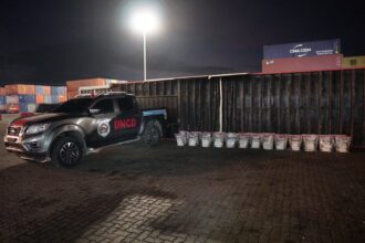 DNCD seizes 303 packages of alleged cocaine hidden in the floor of a container in Caucedo | De Último Minuto English