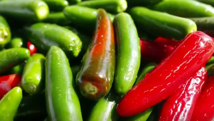 U.S. investigates salmonella outbreak associated with jalapeños imported from Mexico | De Último Minuto English