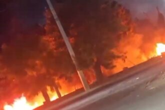 Fire in the vicinity of the Courthouse generates alarm on the South Ring Road of Santiago | De Último Minuto English