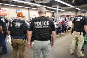 United States suspends raids against undocumented immigrants in workplaces | De Último Minuto English