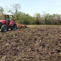 Agriculture presents National Mechanization Program in the face of labor shortages | De Último Minuto English