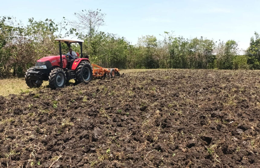 Agriculture presents National Mechanization Program in the face of labor shortages | De Último Minuto English
