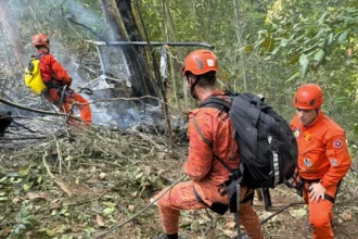 Four people die after a helicopter crashes in a wooded area of Rio de Janeiro | De Último Minuto English