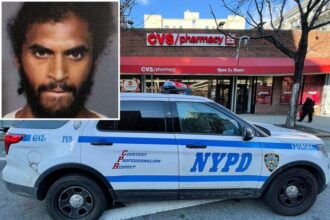 Dominican arrested 57 times this year for various robberies in New York | De Último Minuto English