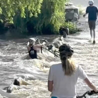 VIDEO:  20-year-old cyclist revived after being swept underwater in Arizona | De Último Minuto English