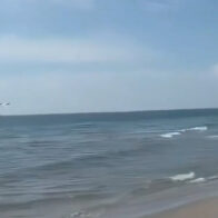 VIDEO: Emergency landing off Boca Raton, Florida: pilot rescued unharmed | De Último Minuto English