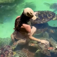Model Cynthia Benítez bitten by turtle while swimming in Zanzibar | De Último Minuto English