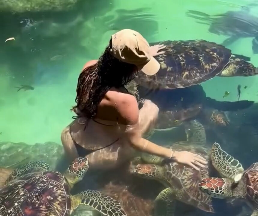 Model Cynthia Benítez bitten by turtle while swimming in Zanzibar | De Último Minuto English