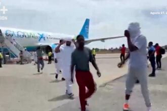 About 200 Haitians deported to Haiti after TPS ends | De Último Minuto English