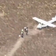 Drunk pilot allegedly steals plane in Hungary | De Último Minuto English
