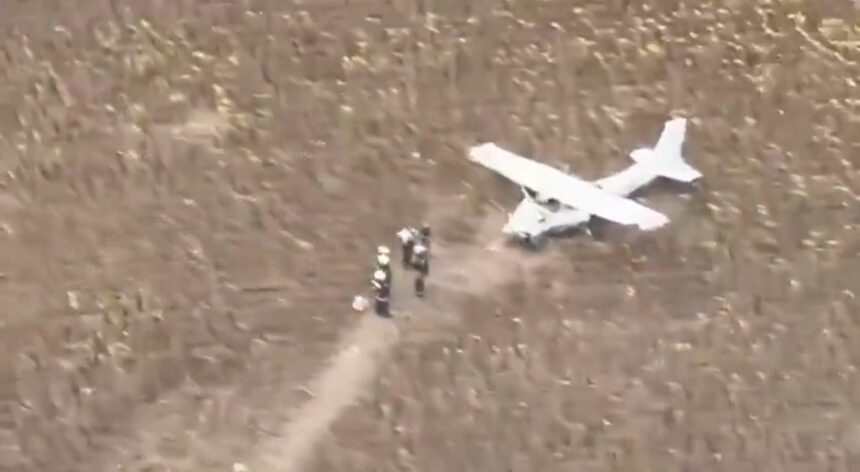 Drunk pilot allegedly steals plane in Hungary | De Último Minuto English