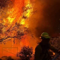 United States at maximum wildfire alert level due to 94 large active blazes | De Último Minuto English