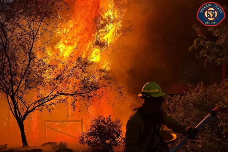 United States at maximum wildfire alert level due to 94 large active blazes | De Último Minuto English