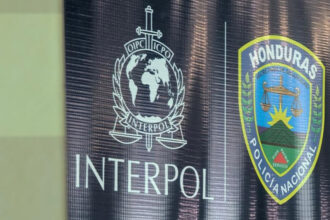 Interpol captures in Honduras an Ecuadorian accused of a fatal hit-and-run in New York | De Último Minuto English