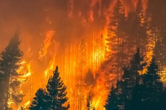 Wildfires ravage Europe: dozens injured and thousands evacuated | De Último Minuto English