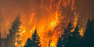 Wildfires ravage Europe: dozens injured and thousands evacuated | De Último Minuto English