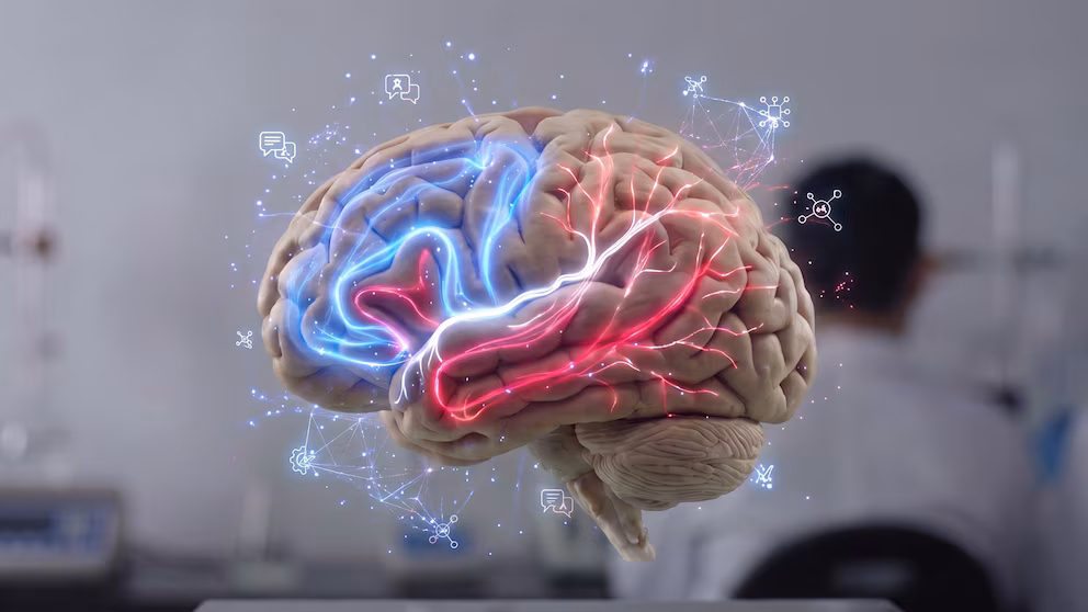 How to know if your brain is aging well or too fast | De Último Minuto English