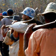 Senators propose banning goods produced through forced labor in the DR | De Último Minuto English