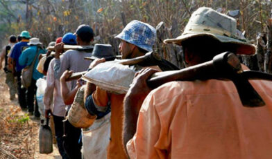 Senators propose banning goods produced through forced labor in the DR | De Último Minuto English