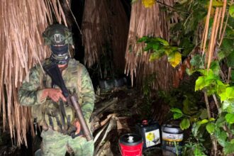 Ecuador: eight decapitated bodies found in a pit next to an illegal mine in Pucará, Azuay | De Último Minuto English
