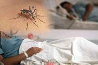 Dengue adds 11 cases in one week and reaches 213 infections in 2026 | De Último Minuto English