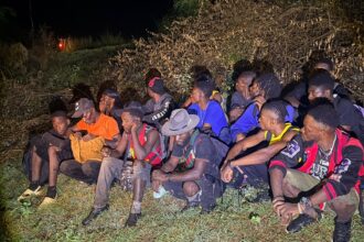 47 undocumented Haitian migrants intercepted in the border area | De Último Minuto English