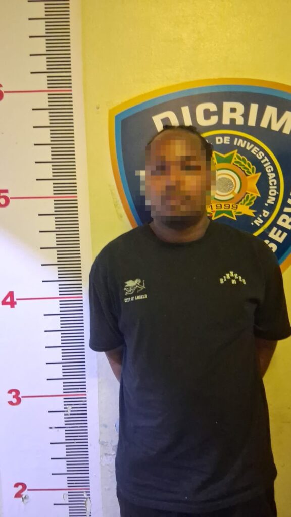 National Police arrest man in Nagua after seizing vehicle reported stolen in La Vega | 3 | National Police arrest man in Nagua after seizing vehicle reported stolen in La Vega | De Último Minuto English