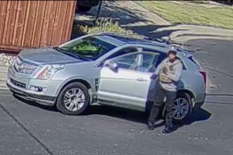 California retiree fatally stabbed outside home; Venezuelan man arrested after alleged burglary