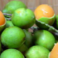 Three-year-old girl dies after choking on a lemongrass seed in Elías Piña | De Último Minuto English