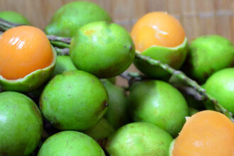 Three-year-old girl dies after choking on a lemongrass seed in Elías Piña | De Último Minuto English